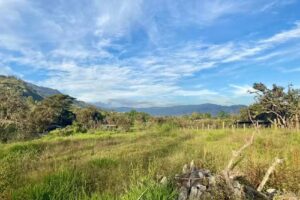 Finca Le&oacute;n Moreno