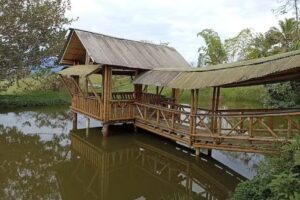 Finca Lomalinda Gigante