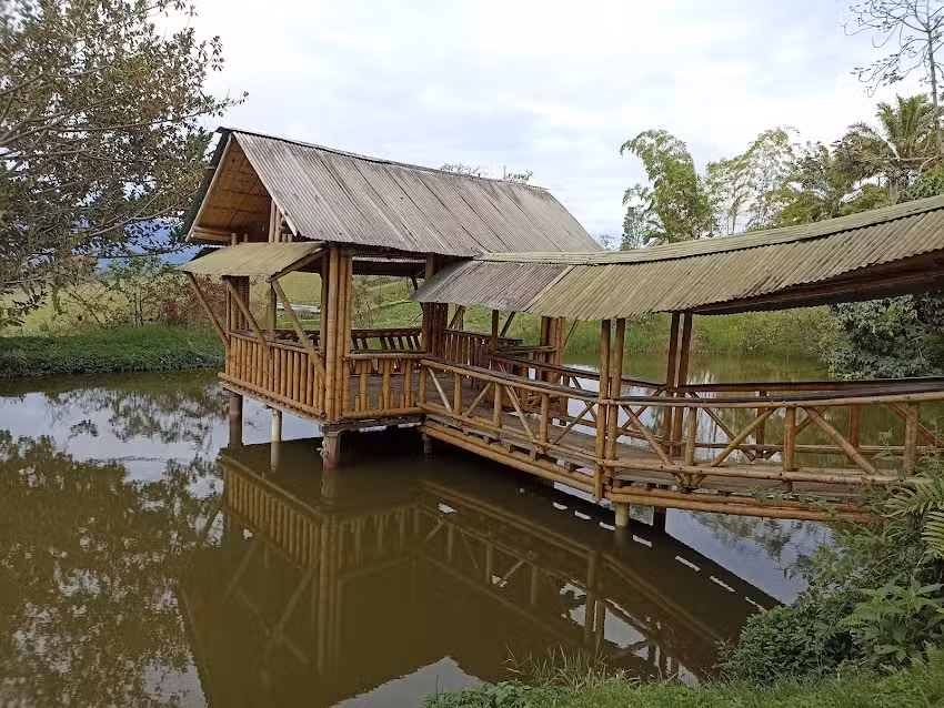 Finca Lomalinda Gigante