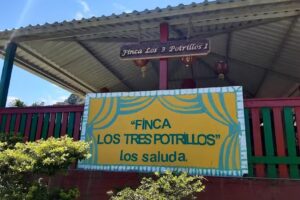 Finca Los 3 Potrillos
