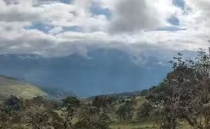 Finca Los Hortigales