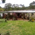Finca los pinos