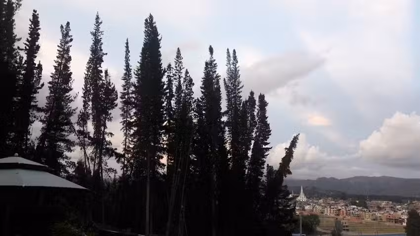 FINCA LOS PINOS LOTE EL LLANO