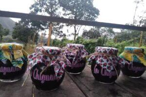 Finca Los Sitios Choachi