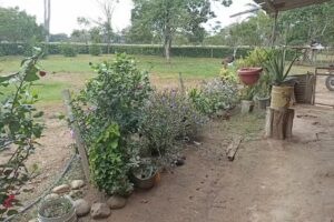 Finca Los Trompillos