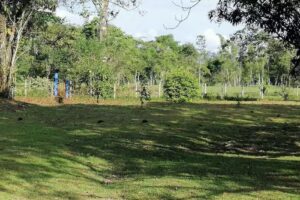 Finca Macondo (casa de la Mona)