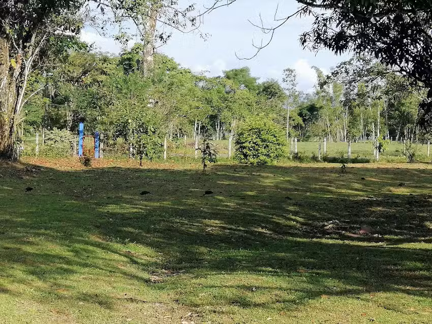 Finca Macondo (casa de la Mona)