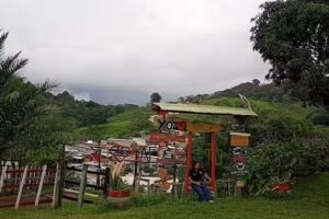 FINCA MI RECUERDO VRD SACRAMENTO