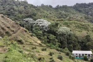 FINCA MIRADOR DE LA PISTA