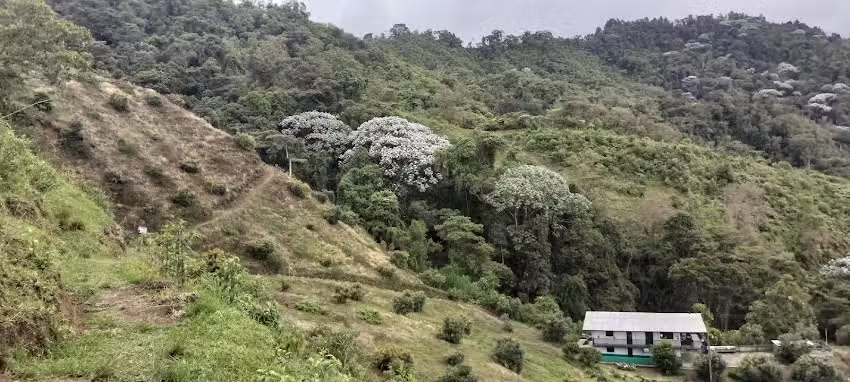 FINCA MIRADOR DE LA PISTA
