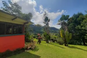 Finca Mirador las Marcadas