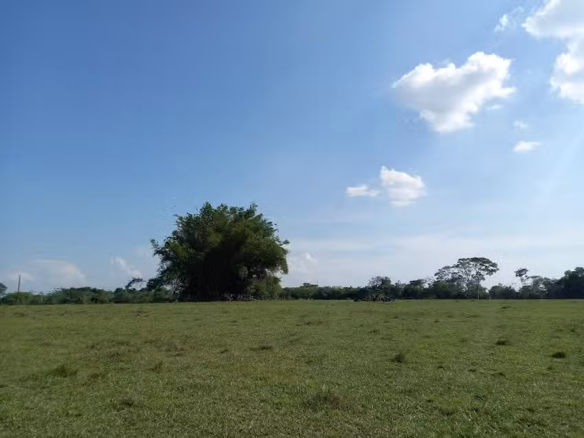Finca Moricherralo