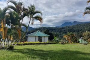 Finca Oasis- La Mesa Cundinamarca