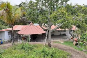 Finca planadas &ndash; monte bello