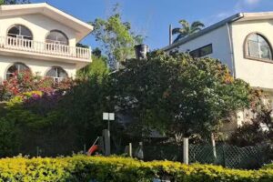 Finca Provision De Dios