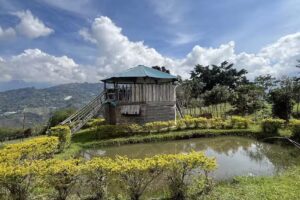 Finca recreativa los guayabos