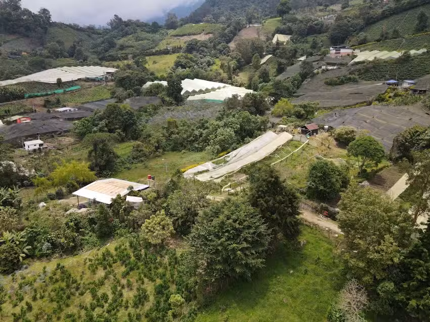 Finca San Fernando