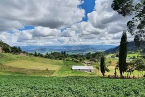 Finca San Jos&eacute; Altos del &Aacute;guila