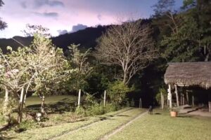 Finca San Luis Borbur &ndash; AGROTURISMO cacao y chocolate AKAR