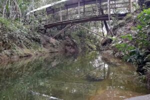 Finca Turistica el Mirador