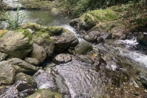 Finca tur&iacute;stica el porvenir