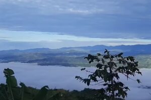 FINCA TURISTICA EL REFUGIO DE TARZAN