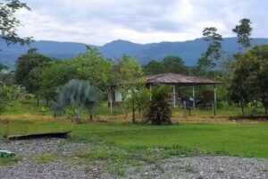 FINCA TURISTICA LA PRIMAVERA