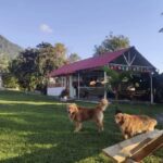 Finca Tur&iacute;stica San Miguel