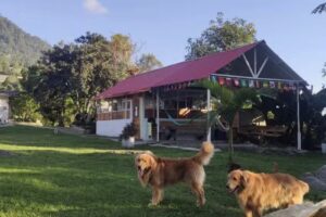 Finca Tur&iacute;stica San Miguel