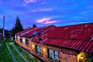 Finca Viejo San Juan