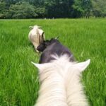 Finca Villa Alejandra