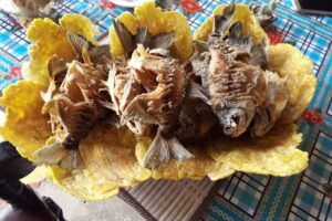 Finca Villa Atahualpa