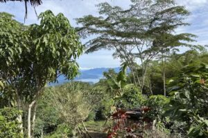 Finca Villa del Carmen