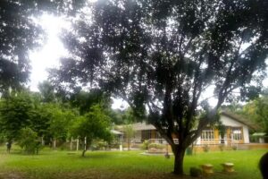 FINCA VILLA DEL PILAR