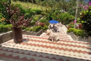 Finca Villa Esperanza