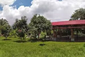 Finca Villa Lucia Totumo