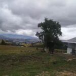 Finca villa Sof&iacute;a