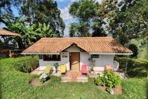 Finca y Chalet San Luis