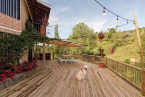 Finca Yerbabuena &ndash; para alquilar en El Pe&ntilde;ol