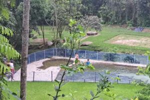 Fincas Ecoturistica Saragoza