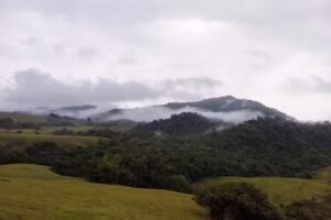 Florencia Caquet&aacute;