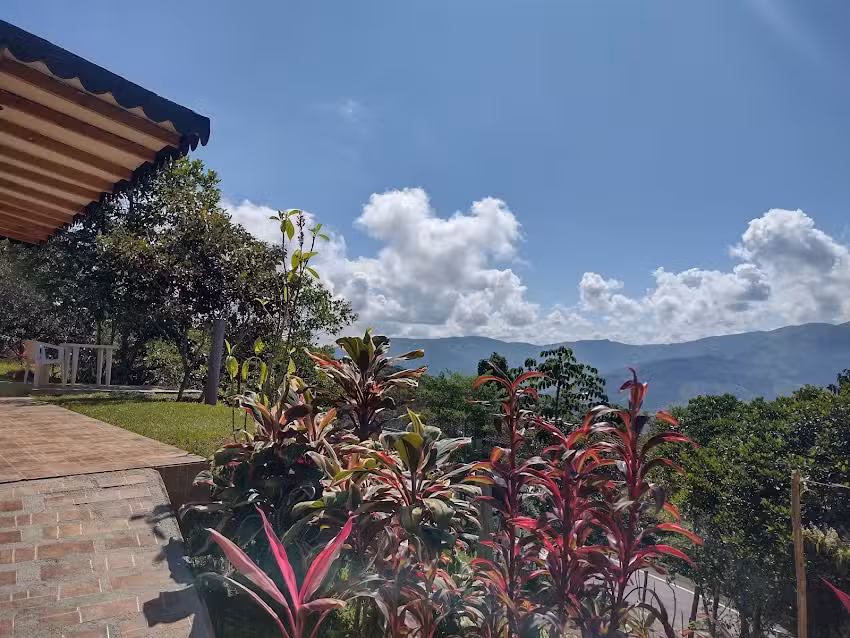 Fonda hotel el Aguacate