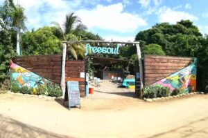 Freesoul hostel