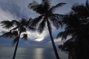 Frenchy&rsquo;s caba&ntilde;as