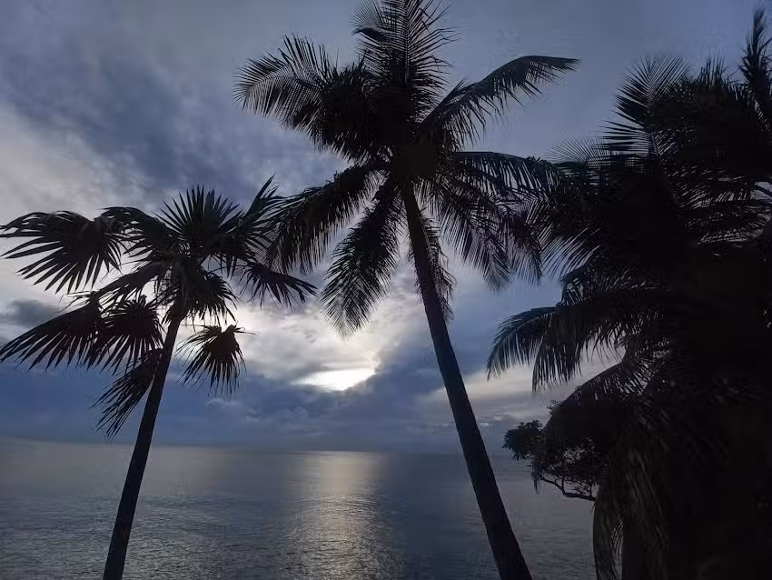 Frenchy&rsquo;s caba&ntilde;as