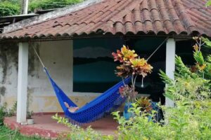 Fruit Palace backpackers Hostel