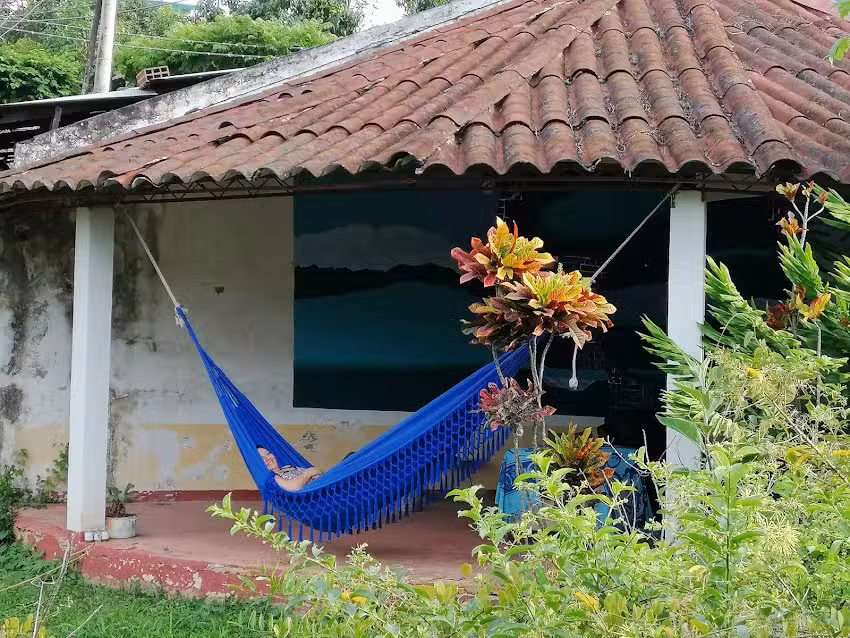 Fruit Palace backpackers Hostel