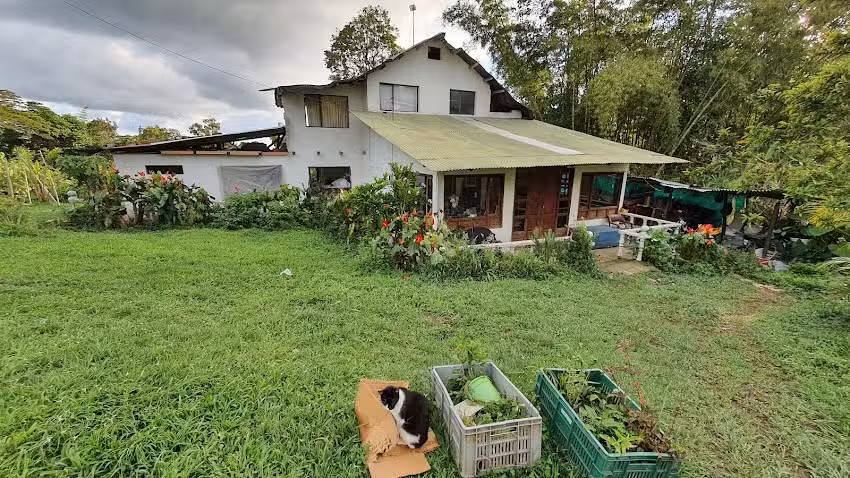 Fundaci&oacute;n albergue amar huellitas