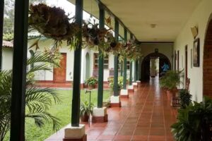 Fundación Vida Sana Popayán