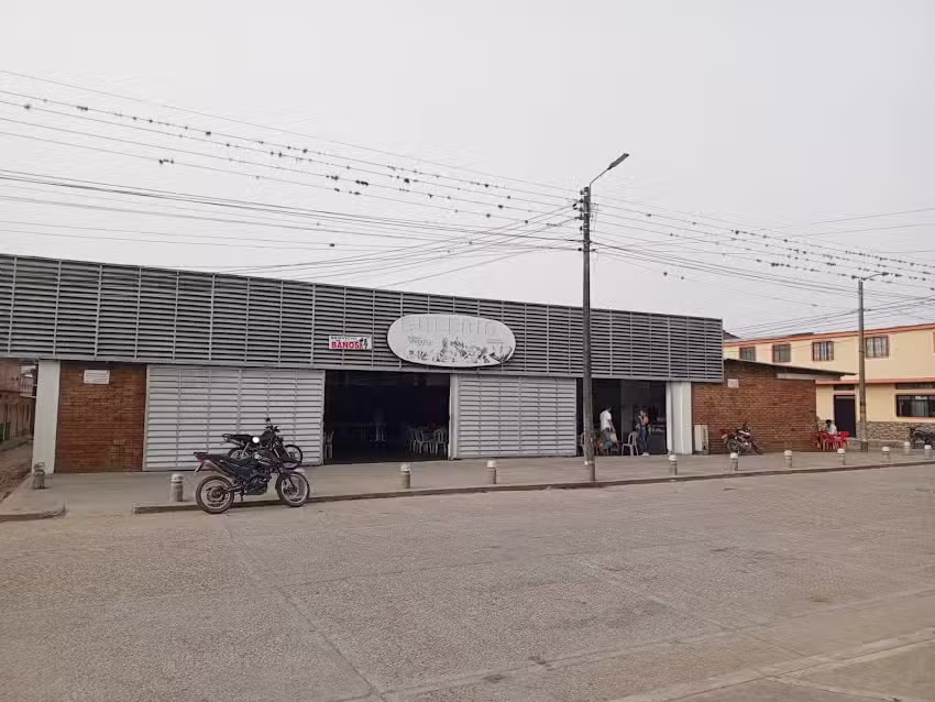 Galeria dolores tolima